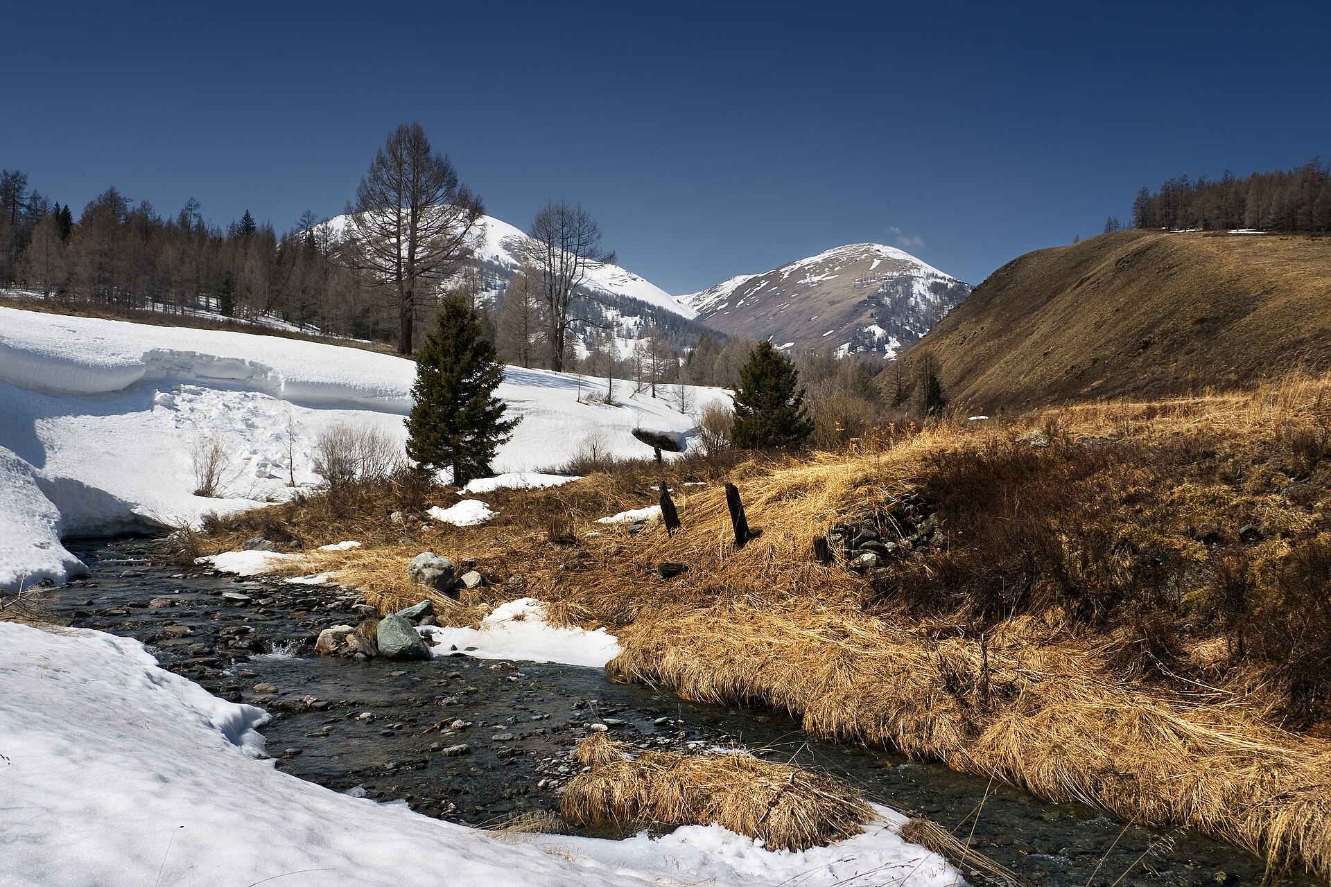 Altay 2