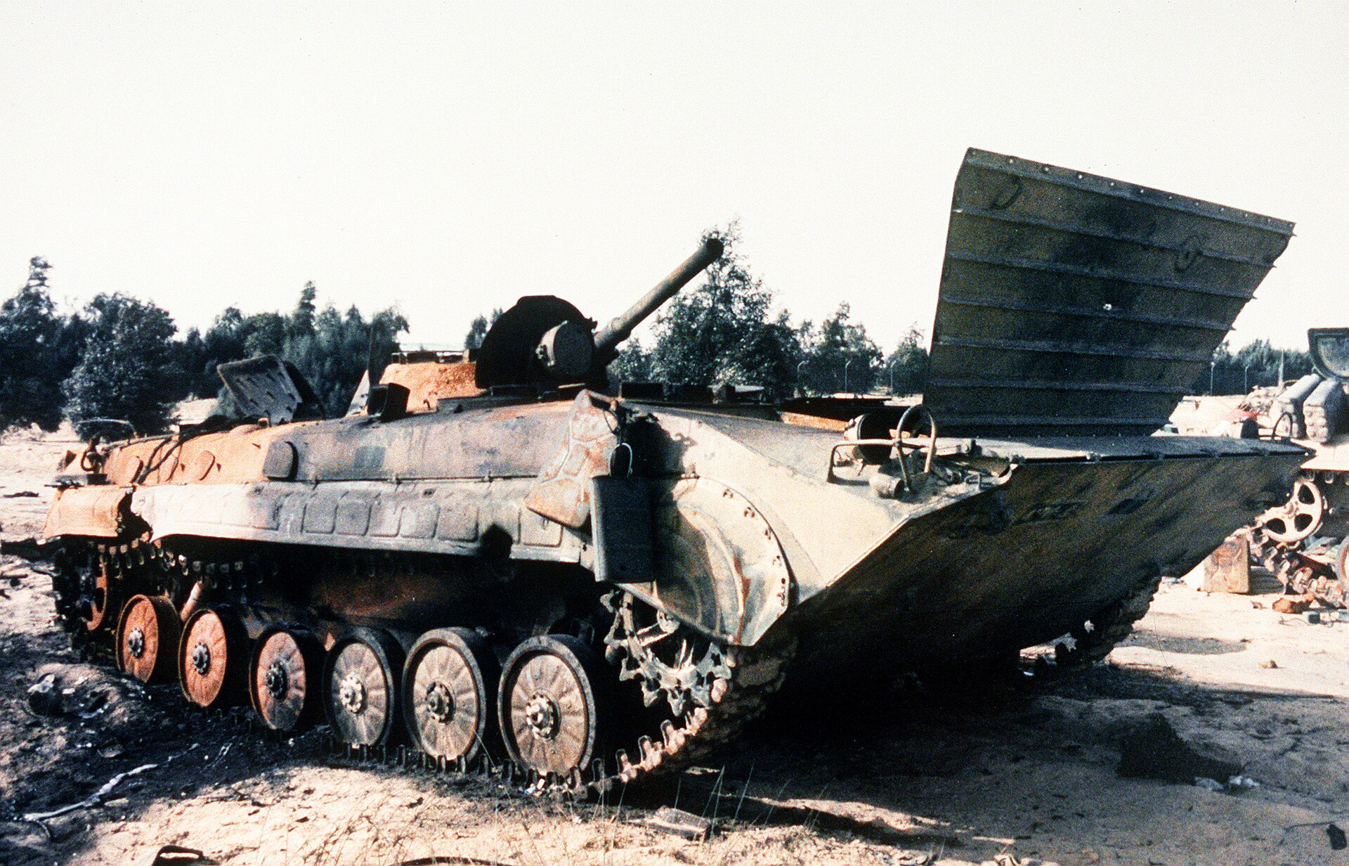 BMP-1 3
