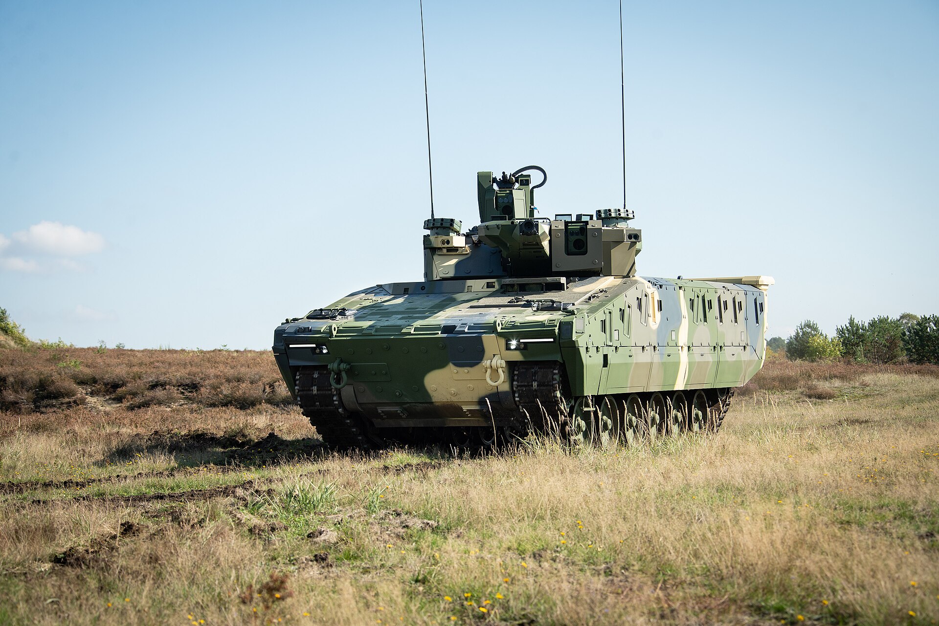 Rheinmetall Lynx KF41