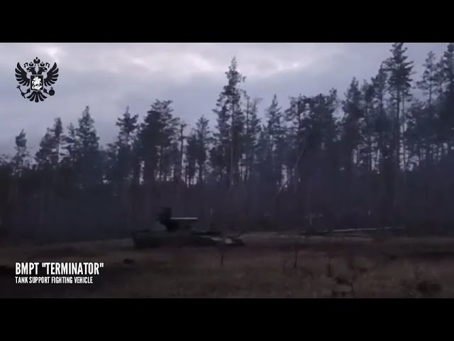BMPT Terminator